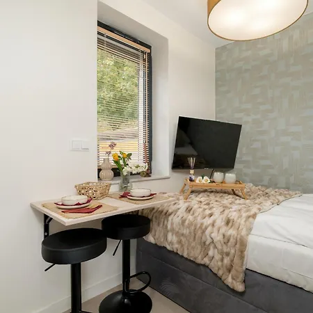 Klimatyzowane W Poznaniu Z Biurkiem Do Pracy Zdalnej By Renters Lejlighed Poznań